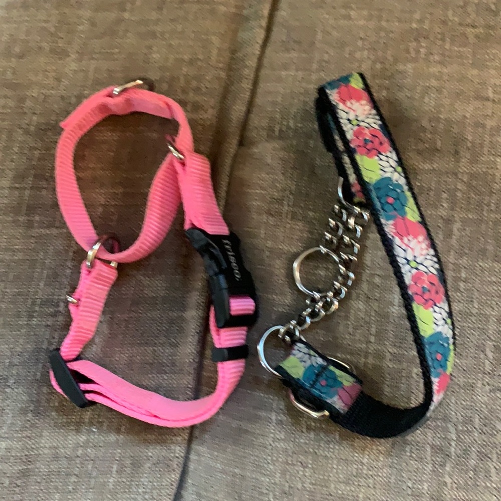 Frisco Martingale dog collar SMALL (2)